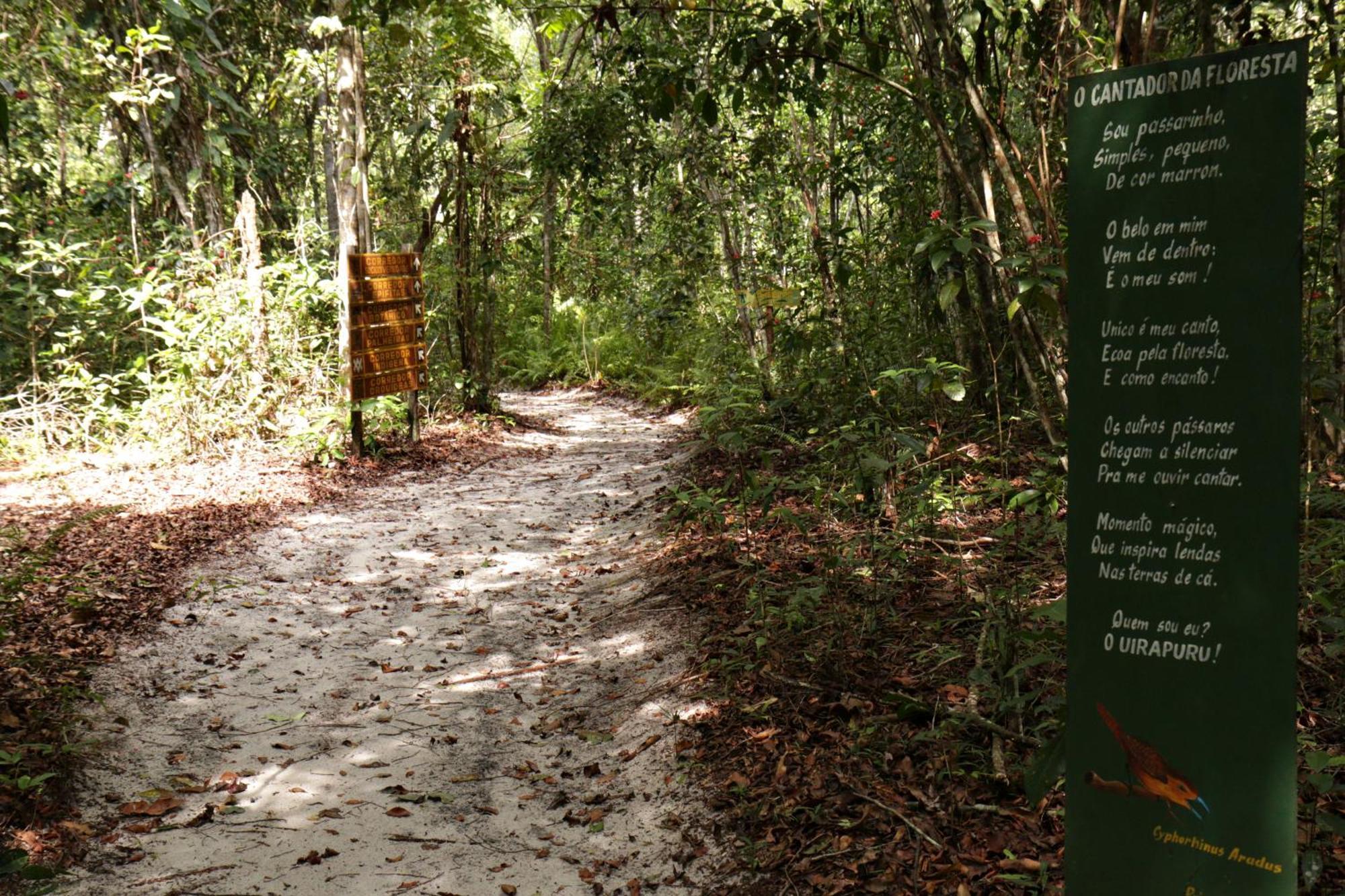 Cirandeira Bela Amazon Cabins Manacapuru Esterno foto